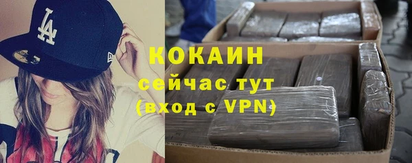 твердый Осташков