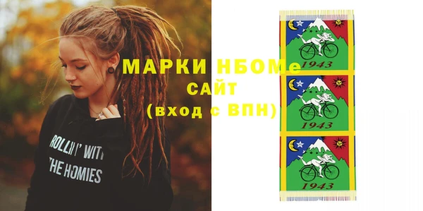 индика Пестово