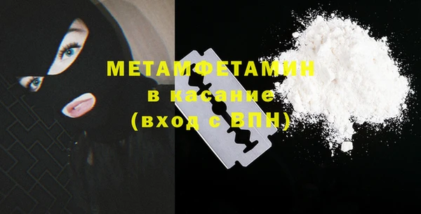 индика Пестово