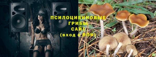 индика Пестово