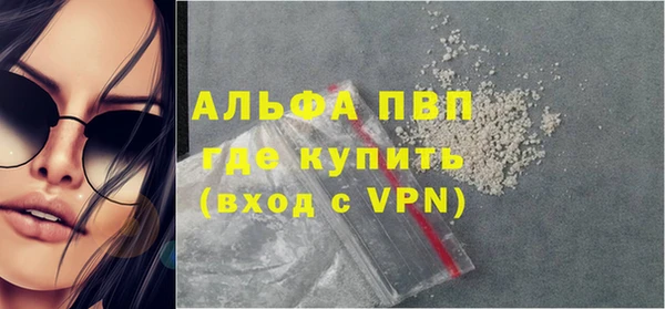 индика Пестово