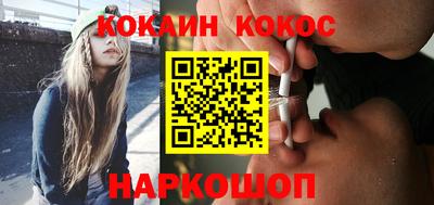 индика Гатчина