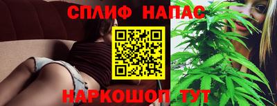 молекула духа Гусев