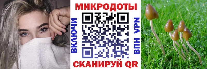 Псилоцибиновые грибы Magic Shrooms  мега маркетплейс  Кинешма  цена  